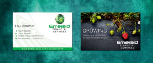 emerald accountancy buisness cards