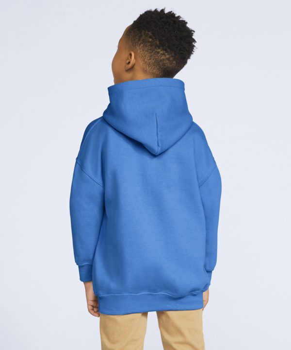 youth hooded sweatshirt